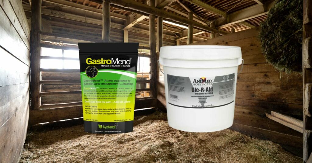 Best Horse Ulcer Treatments: Effective Solutions for Equine Health