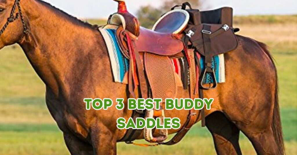 Top 3 Best Buddy Saddles