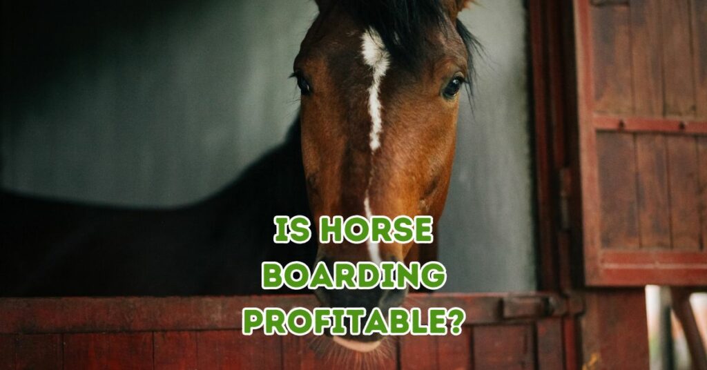 is horse boarding profitable?