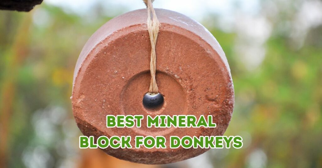 Best Mineral Block for Donkeys (1)
