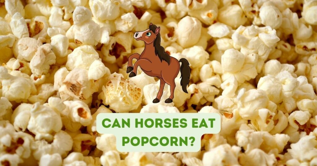 Can Horses Eat Popcorn?