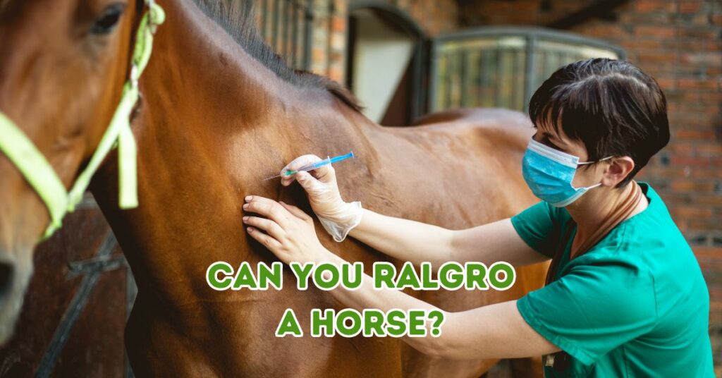 Can You Ralgro a Horse?