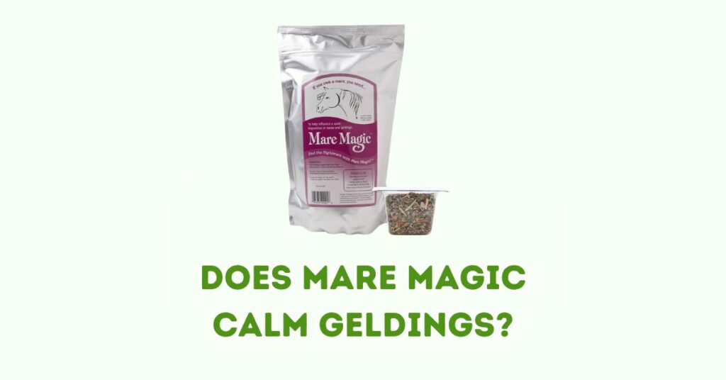 Does Mare Magic Calm Geldings?