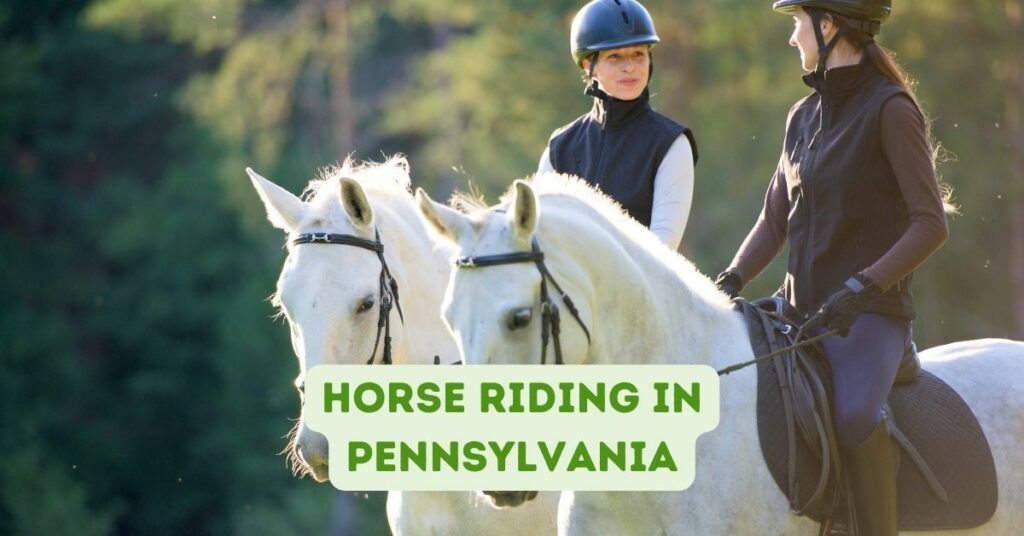 Horse Riding in Pennsylvania