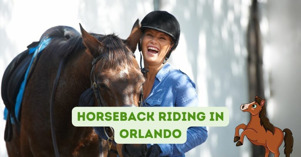 Horseback Riding In Orlando