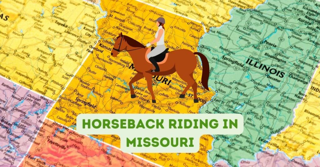 Horseback Riding in Missouri: Trails, Tips, and Top Destinations