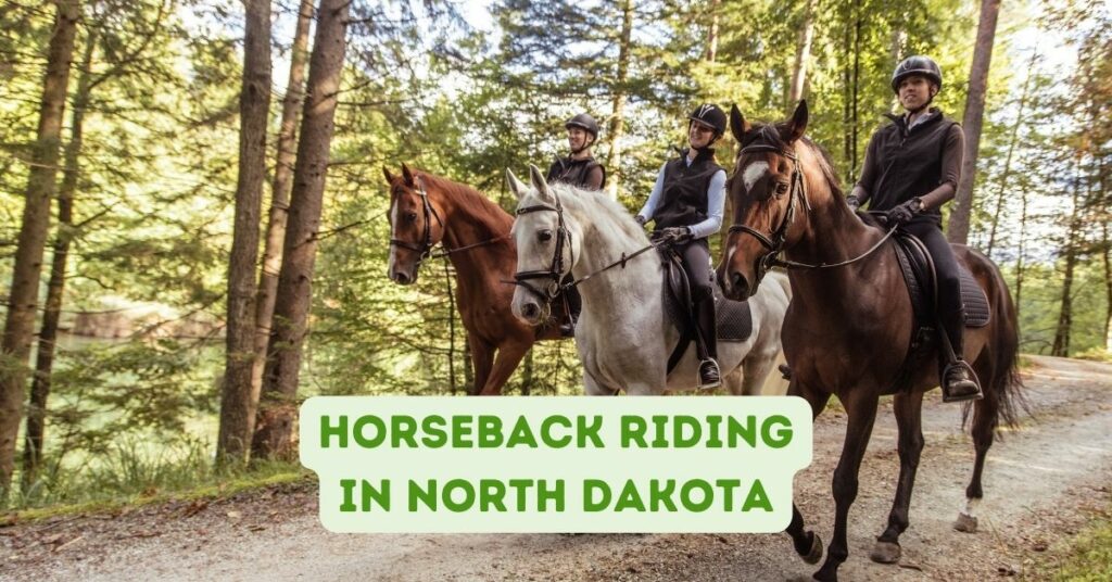 Horseback Riding in North Dakota