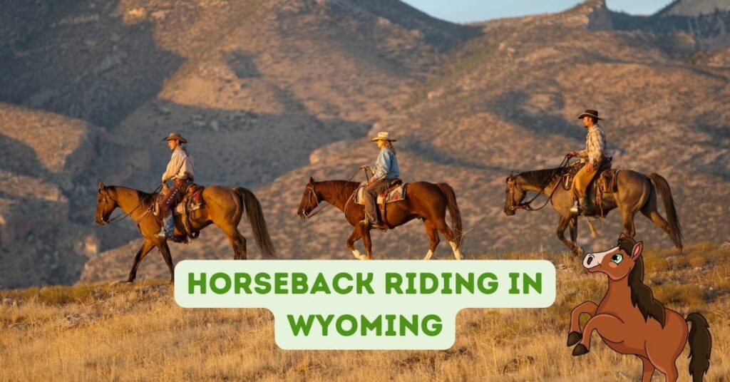 Horseback Riding in Wyoming