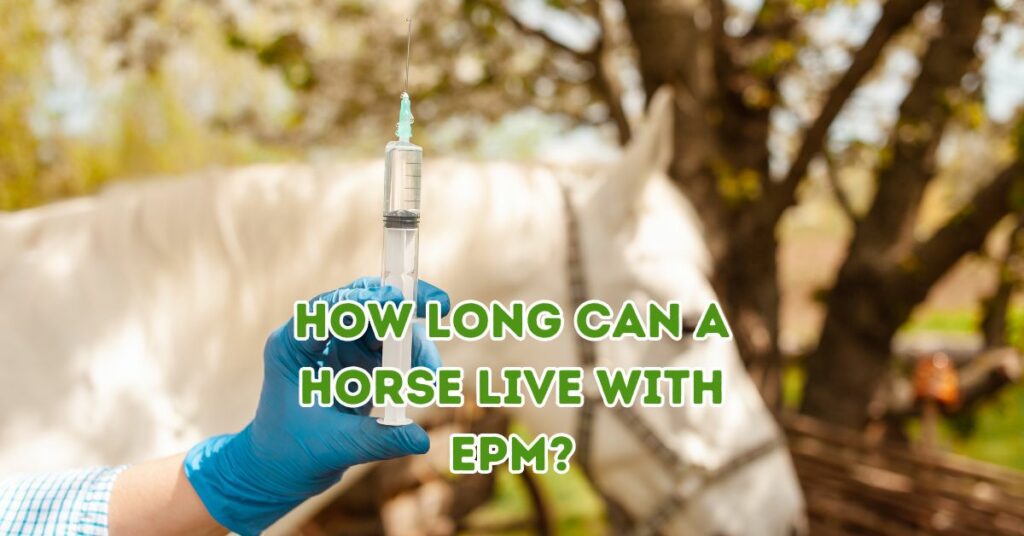 How Long Can a Horse Live with EPM?