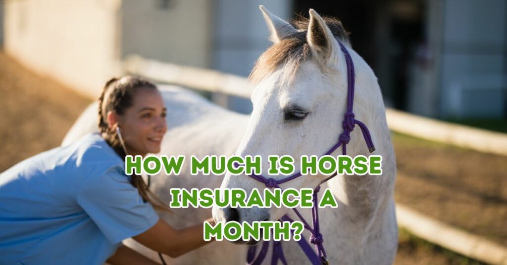 How Much Is Horse Insurance a Month?