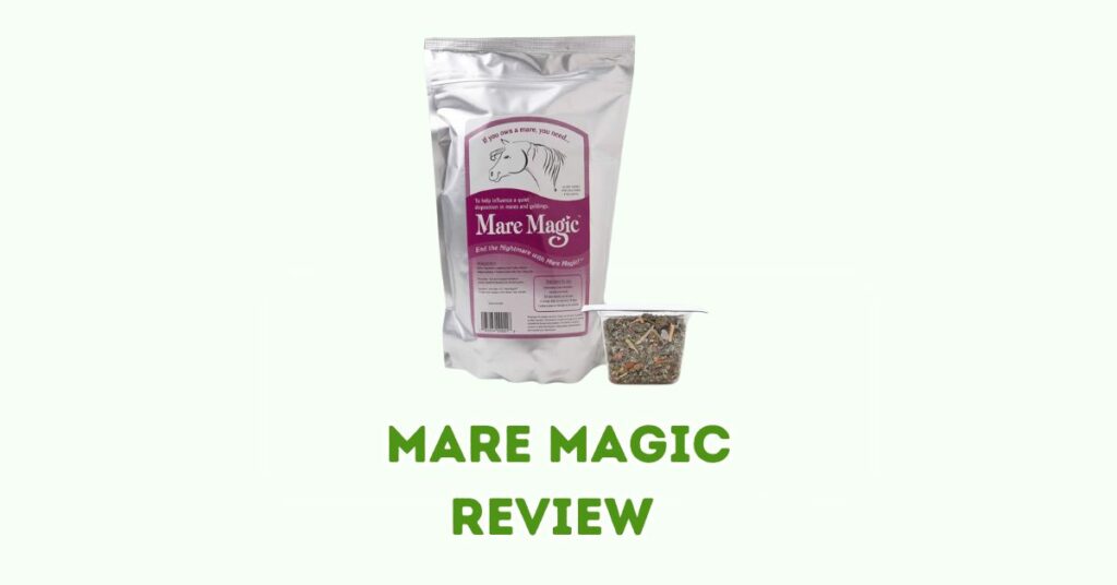 Mare Magic Review