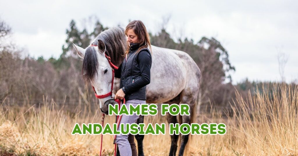 Names for Andalusian Horses
