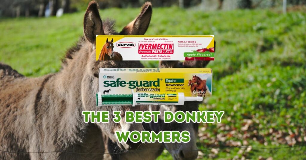 The 3 Best Donkey Wormers