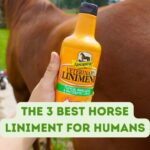 The 3 Best Horse Liniment for Humans