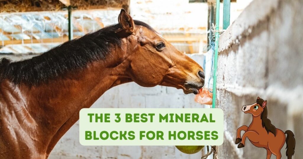 The 3 Best Mineral Blocks for Horses