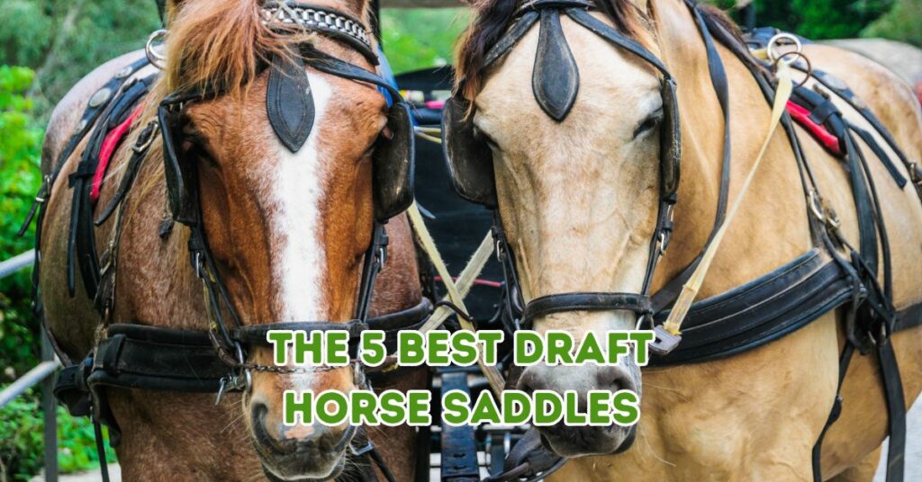 The 5 Best Draft Horse Saddles