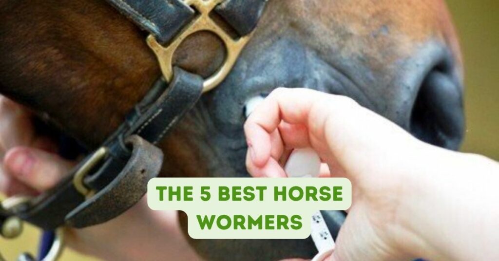 The 5 Best Horse Wormers