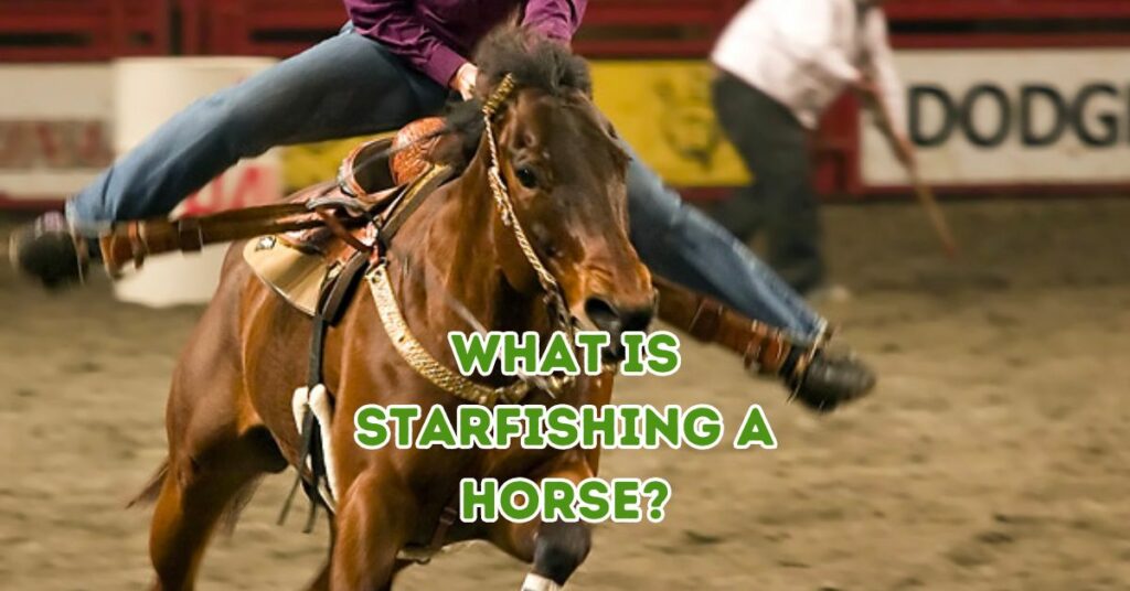 What Is Starfishing A Horse?