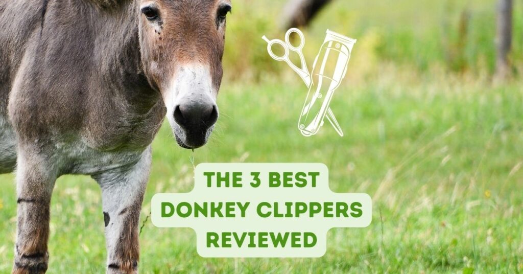 the 3 best donkey clippers reviewed