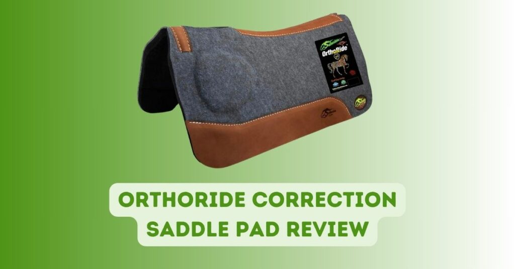 OrthoRide Correction Saddle Pad Review