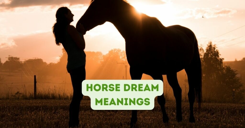 horse dream meanings
