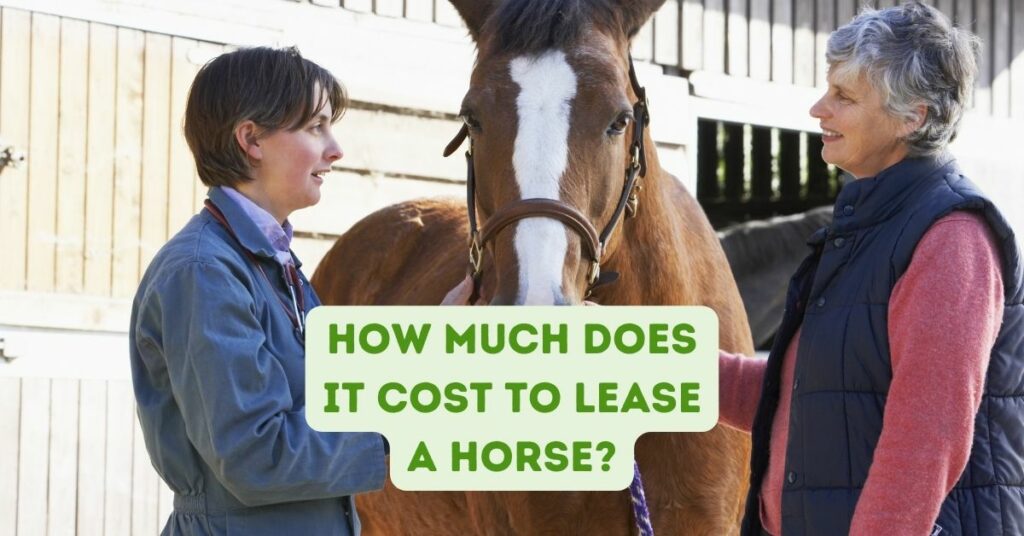 how much does it cost to lease a horse?